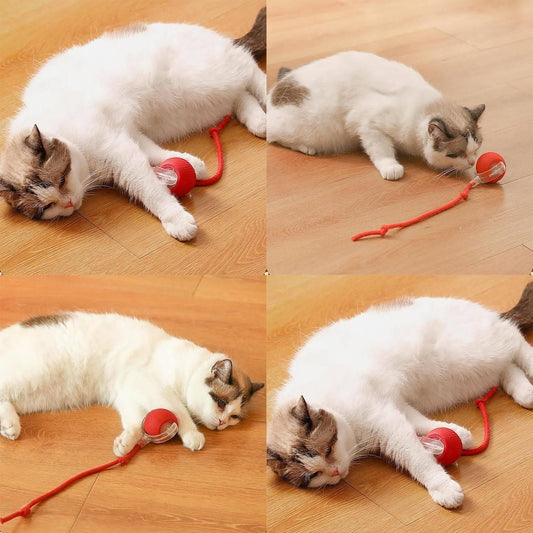 Smart Rolling Cat Ball – Interactive LED Toy for Curious Cats